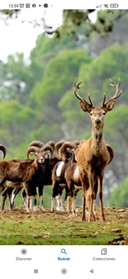 Alojamiento "Destino Cazorla" Bagian luar foto